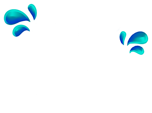 SendDudes.co